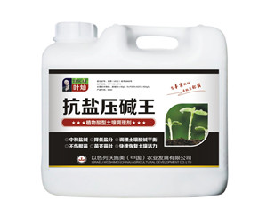 冲施肥-抗盐压碱王