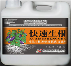 快速生根